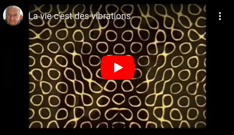 La vie, ce sont des vibrations, des fréquences, des informations.